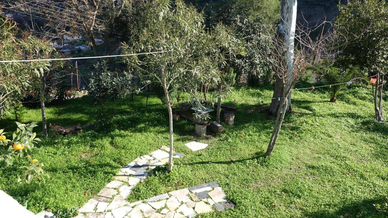 The Old Olive Mill House Villa Aegae Kültér fotó