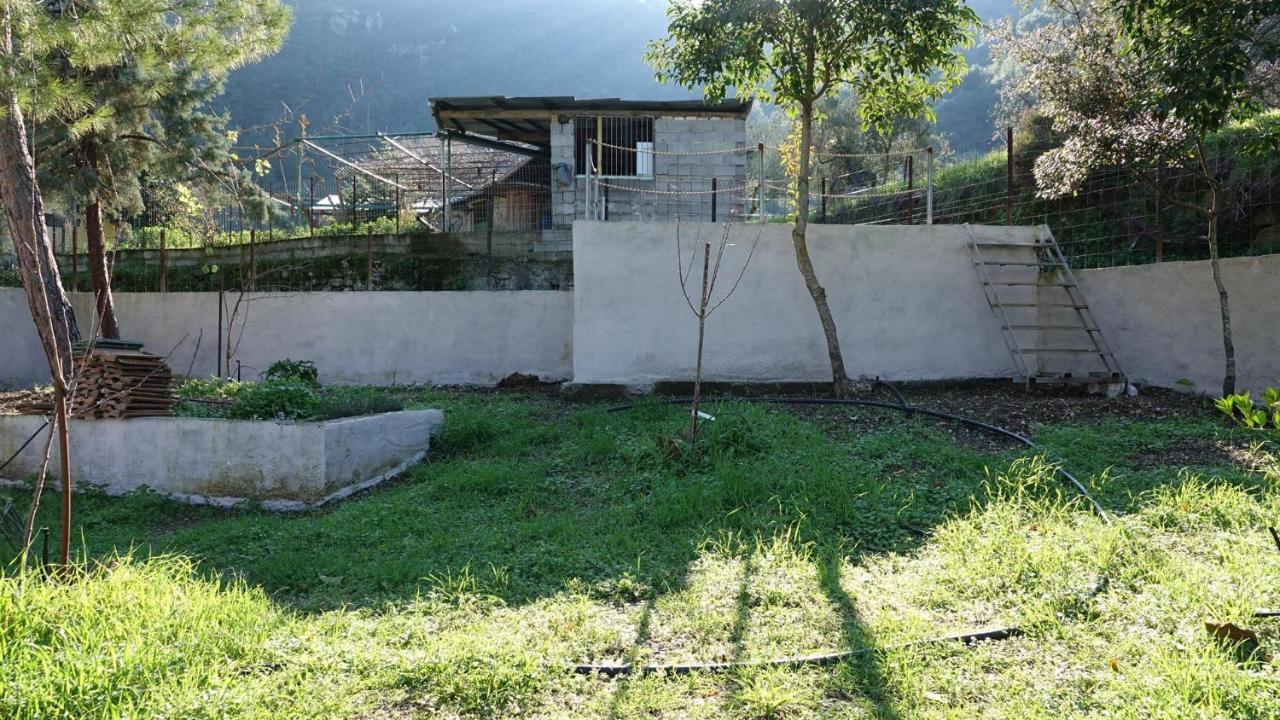 The Old Olive Mill House Villa Aegae Kültér fotó