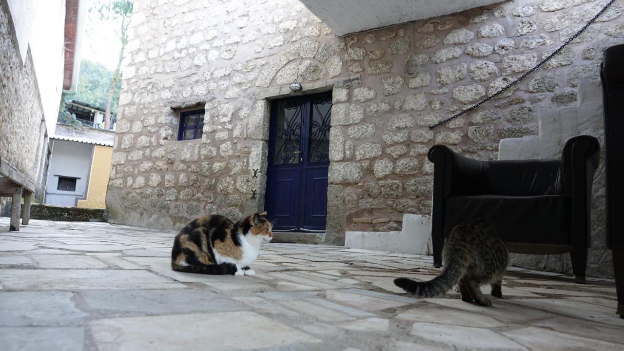 The Old Olive Mill House Villa Aegae Kültér fotó